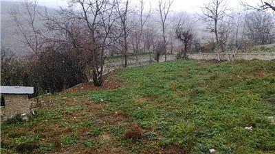 Gallery_1385